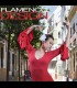 Top de flamenco SOL lycra