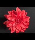 Large flamenca flower in red color