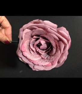 Flamenca flower in rose color