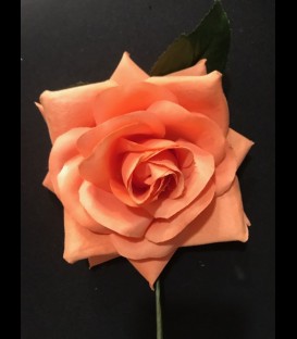 Flamenca flower in orange color