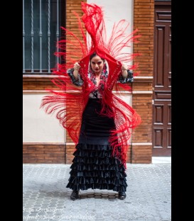 Falda flamenca profesional alegrias terciopelo negro