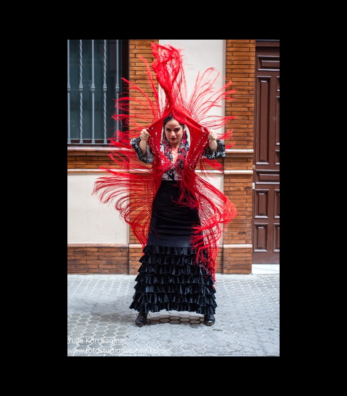 Falda de flamenco profesional モデルアレグリアス lunares